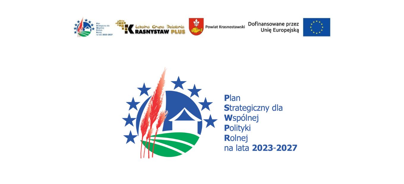Powiat Krasnostawski zawarł z Samorządem Województwa Lubelskiego umowę na realizację operacji pn. „Budowa ogólnodostępnej siłowni plenerowej z infrastrukturą towarzyszącą przy I Liceum Ogólnokształcącym im. Władysława Jagiełły w Krasnymstawie”